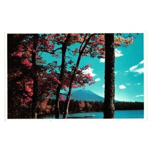 Autumn Glory Mt Katahdin Kidney Pond Baxter Park Maine Vintage Postcard Trees